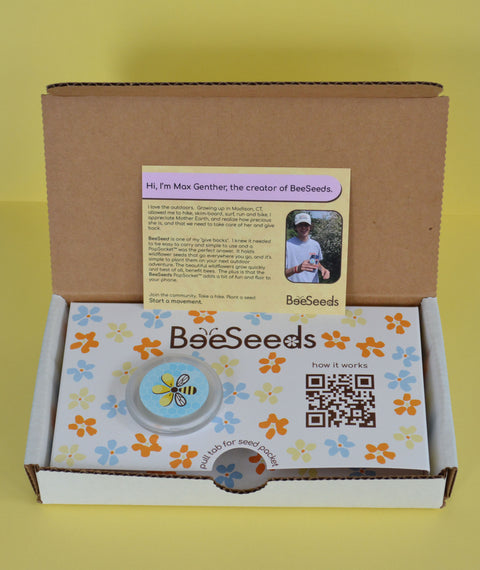 BeeSeeds Starter Kit